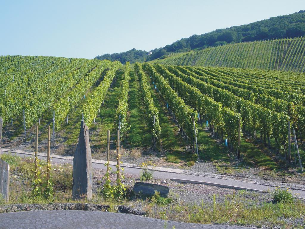 Christiana'S Wein & Art Hotel Bernkastel-Kues Luaran gambar