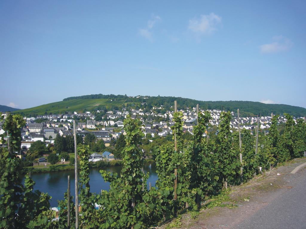 Christiana'S Wein & Art Hotel Bernkastel-Kues Luaran gambar